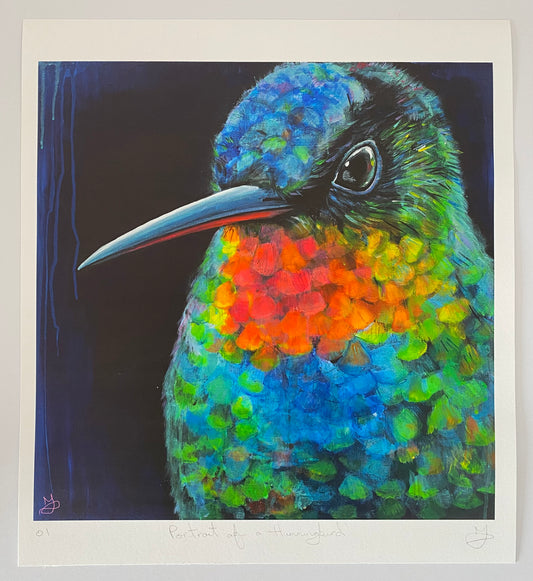 'Portrait Of A Hummingbird' - Limited Edition Print